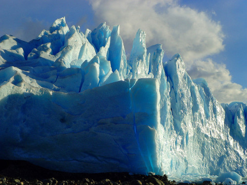 tulipnight: Iceberg by Nuuttipukki on Flickr.