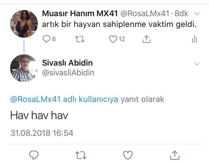 Muasir Hanım MX41...