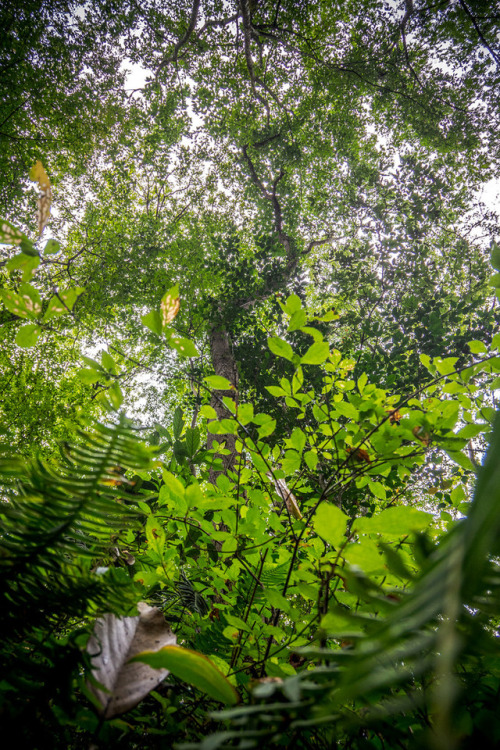 PhoTones Works #10655 by Takuma Kimura www.takumakimura.com