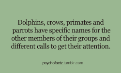 psychofactz:  More Facts on Psychofacts :)