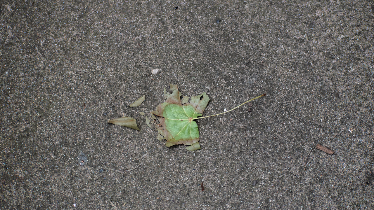 Tumblr Photo