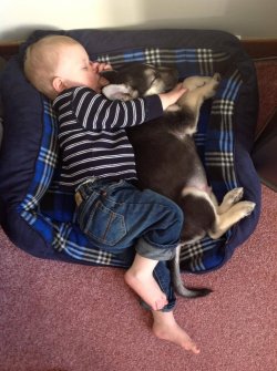 cute-overload:  My son and his puppy, friends