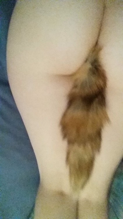 myglasgowgrin:  I love my new tail <3 