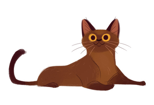 dailycatdrawings:490: Burmese Cat