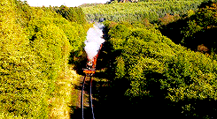 jamesfords-blog: The Hogwarts Express is the name of the train that makes a run between