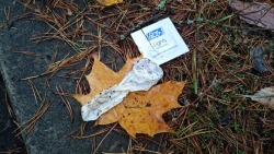 fetishguyrix:  Found used condoms, one of