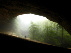 brutalgeneration:  Solitary (by philputnam) 