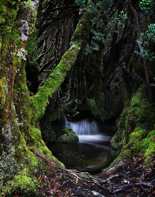 ancientdelirium:flow, little drop, flow by Andrew C Wallace on Flickr.
