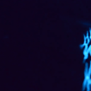 Bioluminescence Stimboard