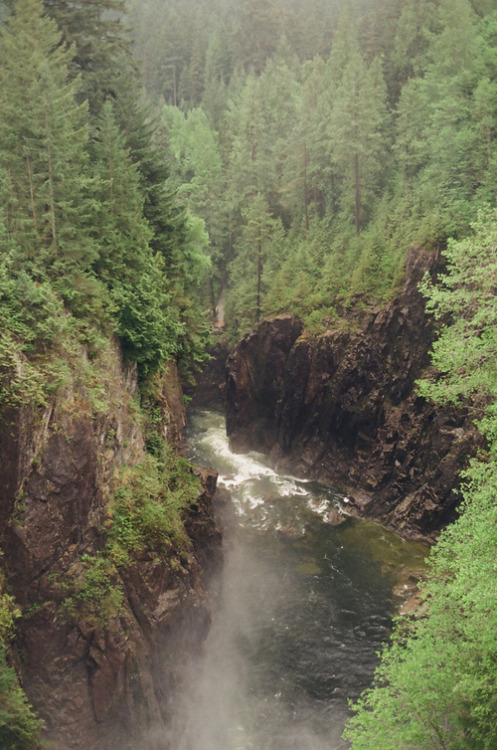 The Beauty Surrounds