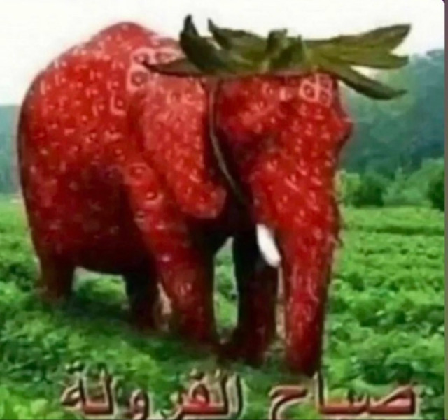 an elephant in a field of green plants. the elephant has the color and texture of a strawberry and strawberry leaves growing from its head. the arabic words for "strawberry morning" are beneath it.