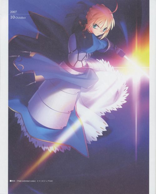 [TYPE-MOON] Fate/Art Chronicle Fate 10th Anniversary Art Book (Fate/stay night, Fate/hollow ataraxia)