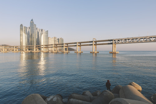 2013-01-06 Instagram  |  hwantastic79vivid Diamond Bridge, Busan, Republic of KoreaCanon EOS 5D Mark