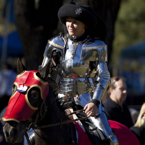 thescienceofjohnlock:kryptaria:  prettyarbitrary:  deepredroom:  A reminder that “male” armour usually works just as well with female bodies. If you’re trying to design something practical, useful and historical looking (or even just something the