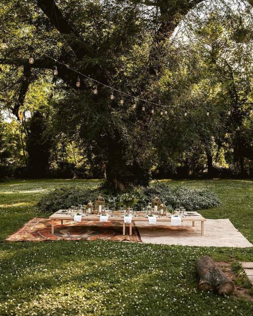 Styling simplicity &amp; honesty @tifforelie #whywelove #pbdinner #green #stylist #weddingstyle #wed