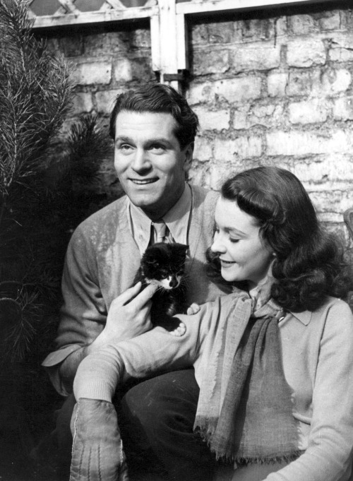 vintage-every-day: Laurence Olivier and Vivien Leigh with their cat Tissy, 1941.