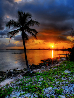 djferreira224:  Sunset on Grand Cayman 