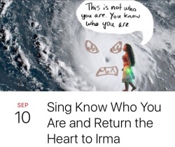 pineapplehangover: some of my favorite irma events while i tell myself i’m totally prepared for the storm