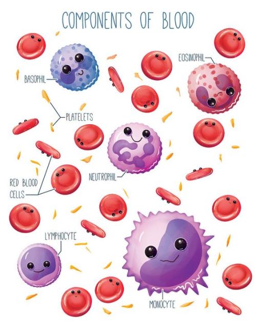 Cute Components of Blood