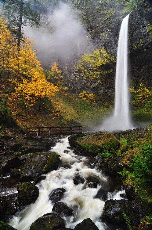 0mnis-e:  Elowah Falls, Autumn 2012, By Greglief.