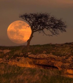 brownglowblog: When the sun sets the moon rises.