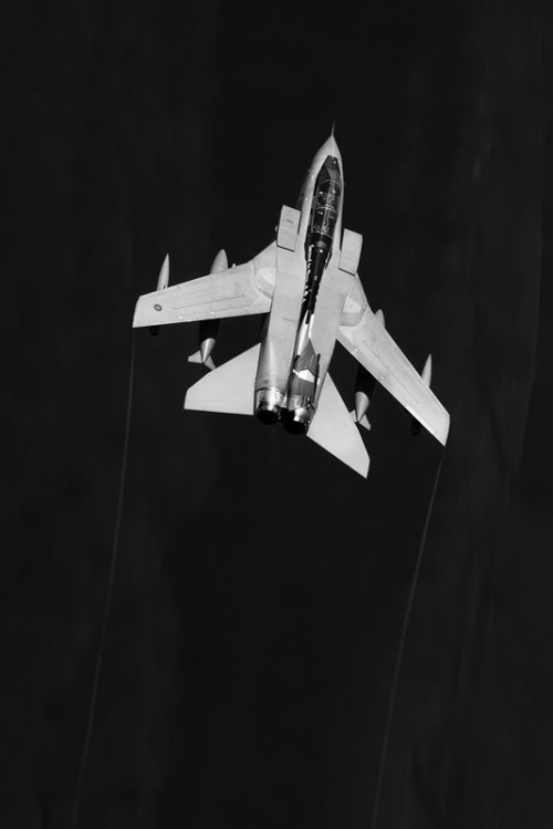 talant-de-bien-faire:  Panavia Tornado 