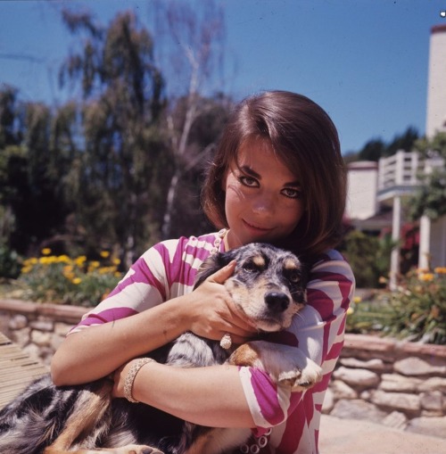 miss-accacia27: Natalie Wood