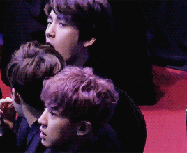 sebaeked:  yawning puppy 