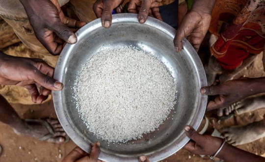 13,000 Pupils In Marsabit To Benefit From Sh12.8 Million Emergency School Feeding Programme