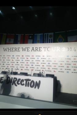 sexmeliampayne:  jutinbiebr:  its a new world tour im going to shoot myself  stfu