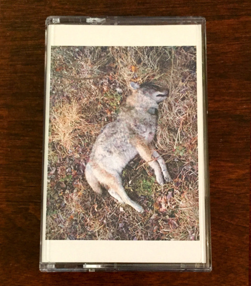 livers:High-bias cassette tape version of Foie Gras’s masterpiece, “Innermost Shrine Heavily Gilded”