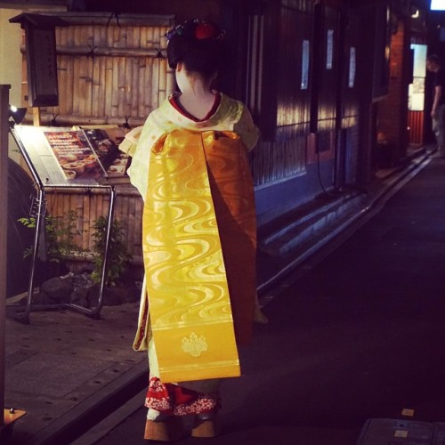 geisha-kai:  Maiko Ichiteru of Pontocho on 7.09.2014 by @carlyhitchcock on Instagram What a beautiful cascade of golden obi (`･ω･´)