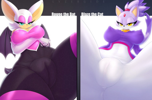 lysersart: Patrons voted Blaze &amp; Rouge the hottest female sonic characters, I wonder who wou