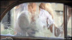 https://64.media.tumblr.com/9feea31d3a15fae3725b951896ba96ba/tumblr_omrc9suytz1u8lr2xo1_400.gif