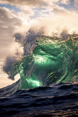 ponderation:  Illumine by Warren Keelan 