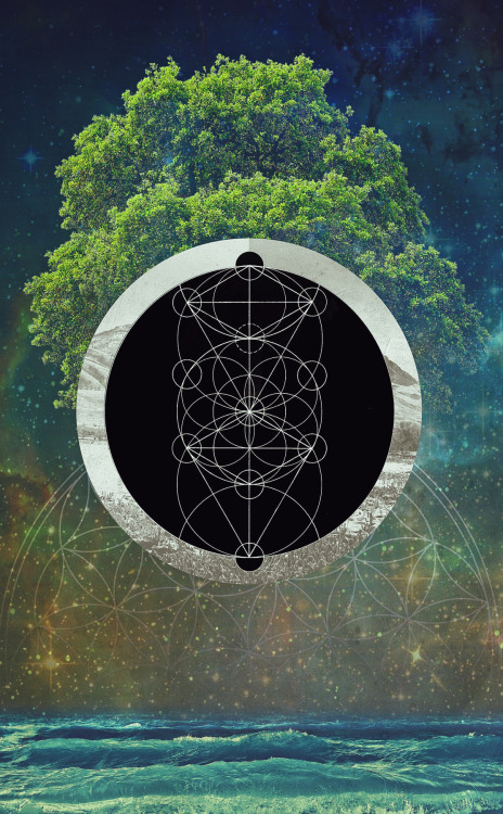 sacreddesign:  Tree of Life ( filipaura.tumblr.com )