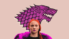 Game of Thrones Daily