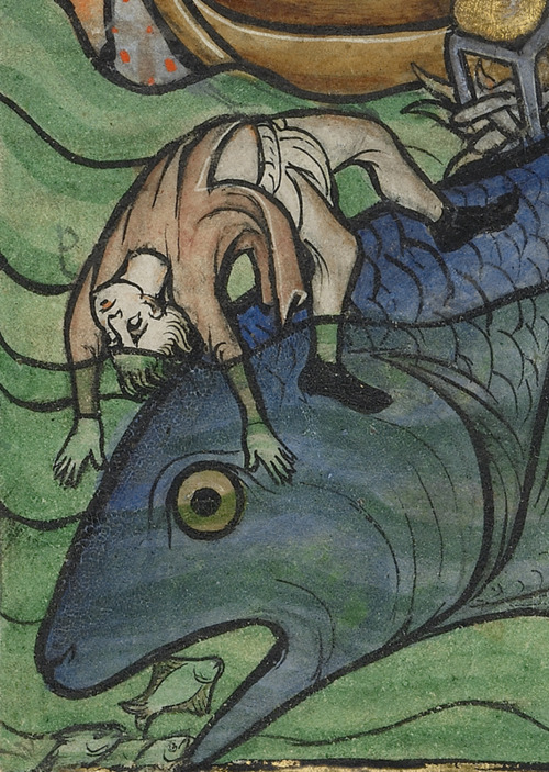 Hmm, real island or whale&rsquo;s rump? Medieval bestiaries warned that large sea creatures were gre