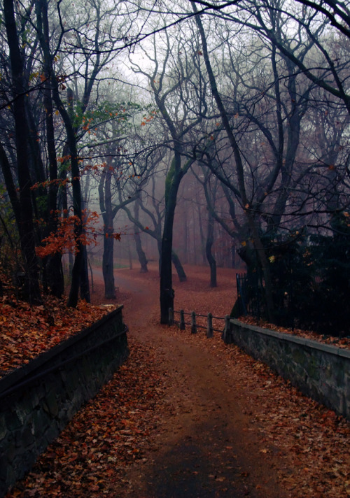 moody-nature:No Sun Today | By Agnes Wieninger | Vienna, Austria