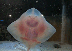 Hetererror