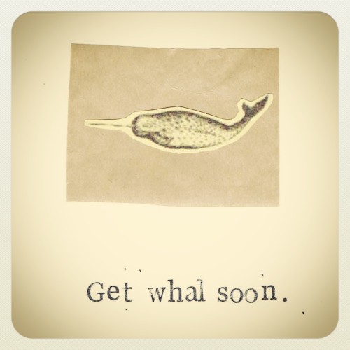 bluespecsstudio:  Marine Biology Cards by BlueSpecsStudio  ( ^_^ )