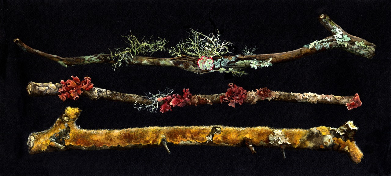 nybg:  Lichen what I’m seein’. Now excuse me while I get a head start on the