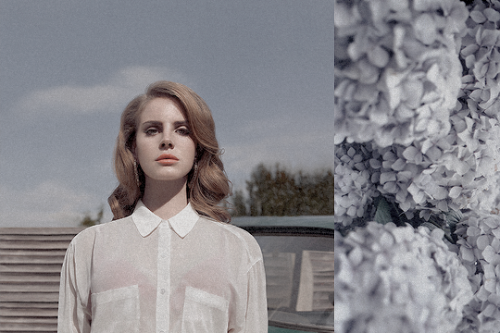 deadlynigthshade:Lana Del Rey albums x flowers