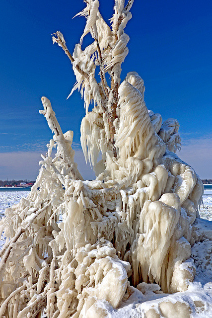chillypepperhothothot:Ice Tree by cseager40 on Flickr.