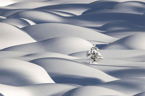 Porn photo siyahalbatros:  Jasper National Park, Alberta,