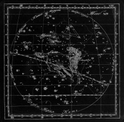 chaosophia218:  Kornelius Reissig - Constellations, “Sozviezdiia Predstavlennyia na XXX Tablitsakh” (Presentation of Constellations in 30 tables), 1829.