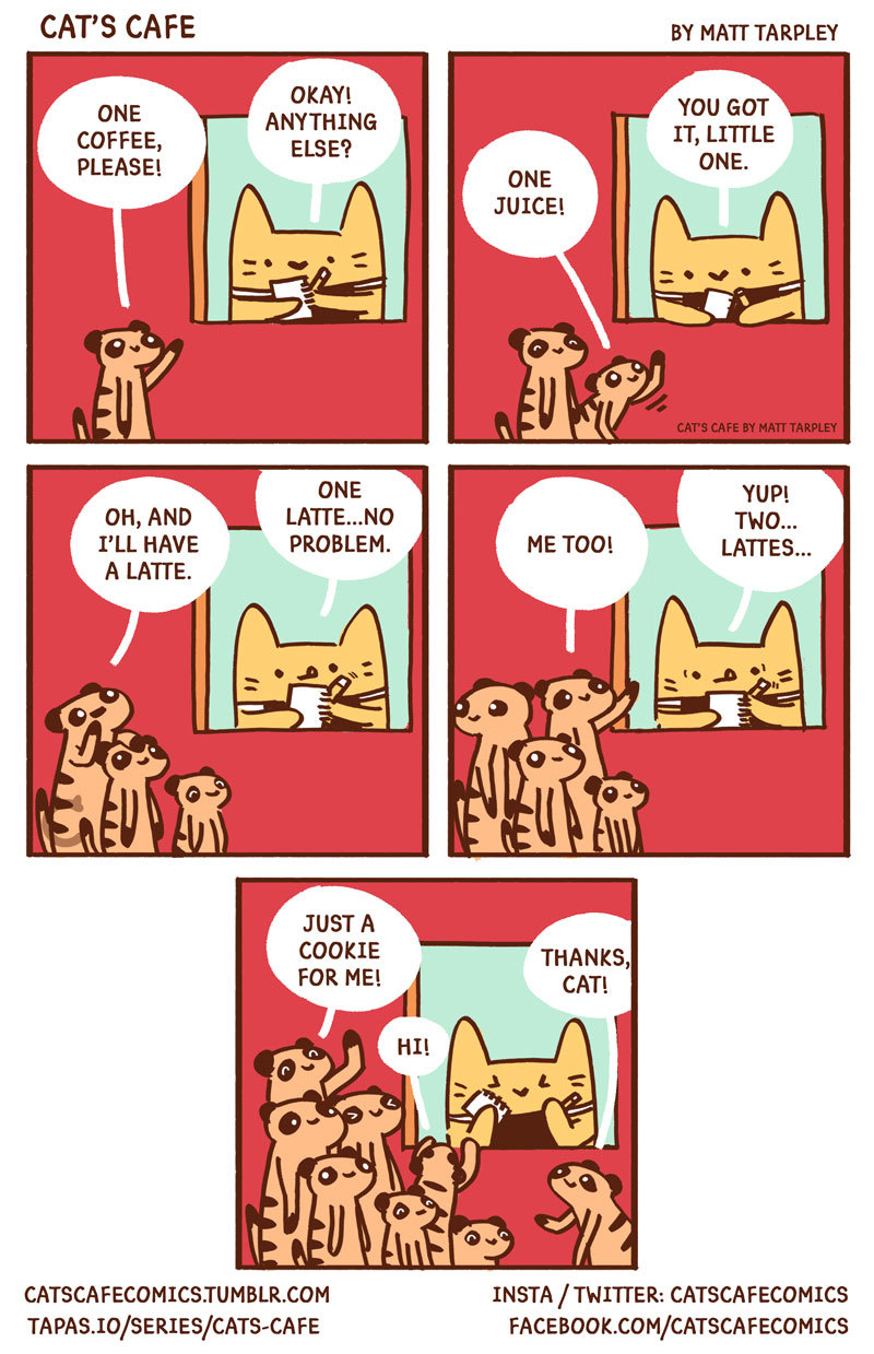 Keep up, Cat!