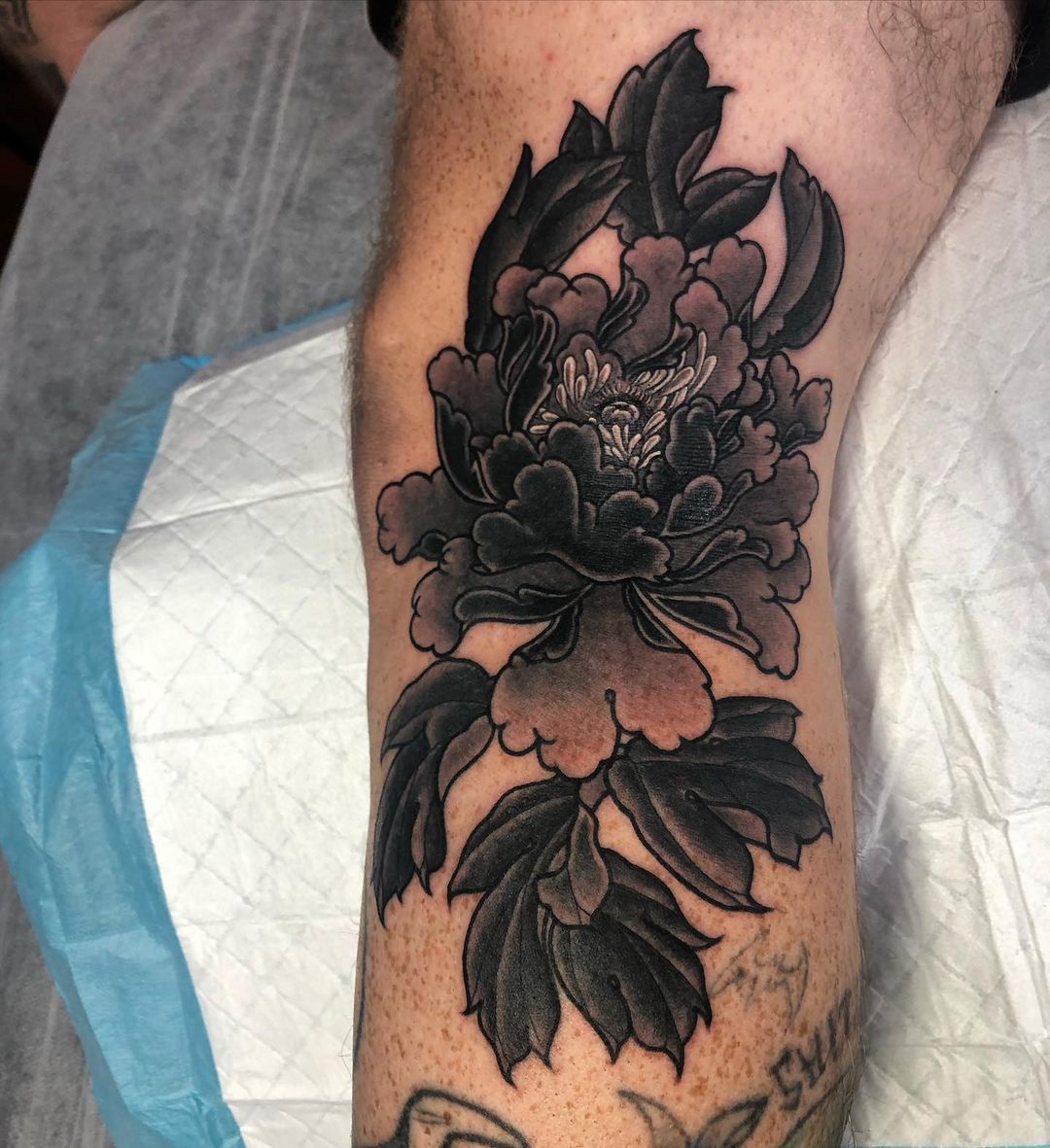 black peony tattooTikTok Search