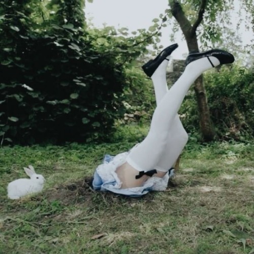 If I See A White Rabbit You're
