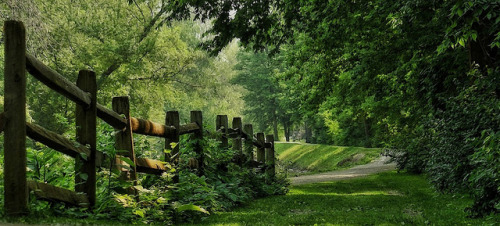 homeintheforest:Providence Metro Park by JimbobEdsel on Flickr.